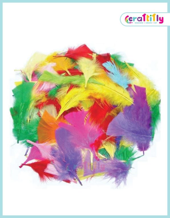 Mixed Small Craft Feathers