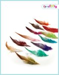 Mixed-Craft-Feathers1