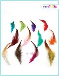 Mixed-Craft-Feathers1