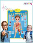 Educational Wall Chart