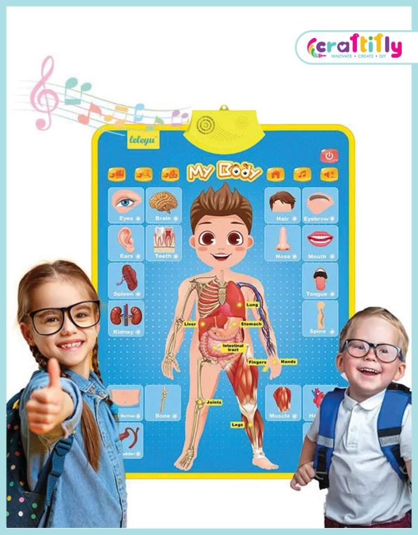 Educational Wall Chart